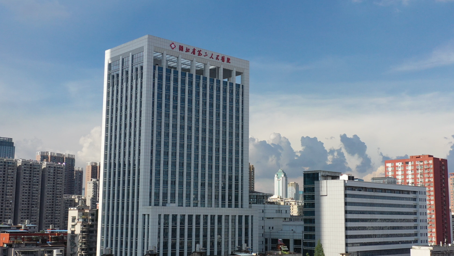 湖北省第三人民醫(yī)院總會計師招聘啟事
