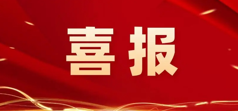 【喜報】我院神經(jīng)重癥康復(fù)團(tuán)隊在中國康復(fù)醫(yī)學(xué)會健康管理專委會首屆臨床康復(fù)一體化案例大賽中獲二等獎