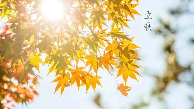 二十四節(jié)氣養(yǎng)生——立秋
